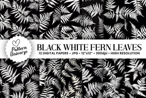 Black White Fern Leaves Digital Papers